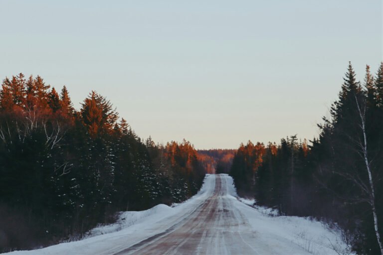 A snow-covered rural road through forest at sunset.
