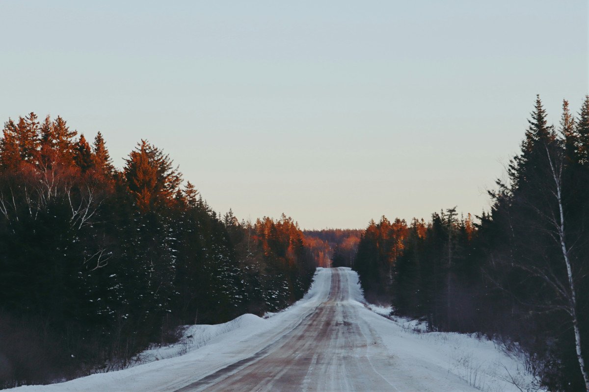 A snow-covered rural road through forest at sunset.